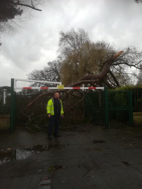 WolvesCouncil's tweet photo. A big thank you to the amazing council teams out since 4am in the terrible #StormCiara conditions to deal with all the fallen trees &amp; loose street signage to keep people safe. Teams remain on standby for further call-outs &amp; clearance work will continue tomorrow. #Proud2BeWolves https://t.co/EHK6HAlKlA