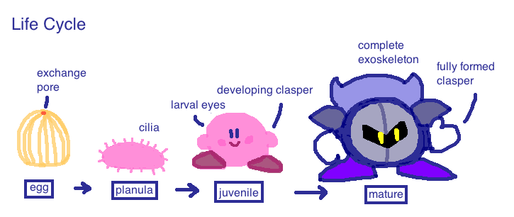 Mossworm1's tweet photo. I have a game theory
#kirby
#mossworm https://t.co/5fsztXVww9