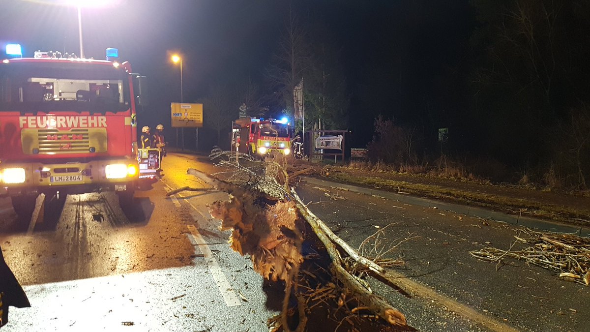 Baum ca. 25m Länge. Beseitigung  wird schwieriger. Weitere Bäume beschädigt.