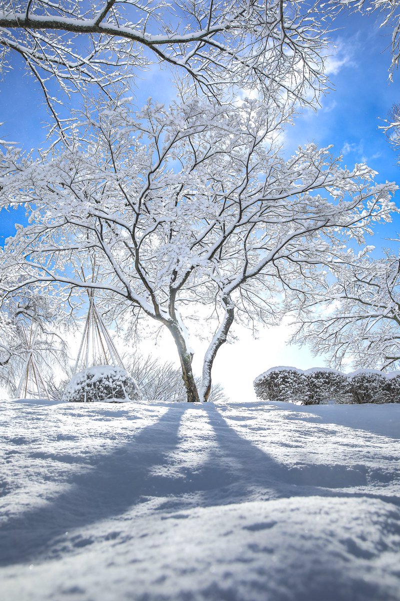 石川県の雪景色