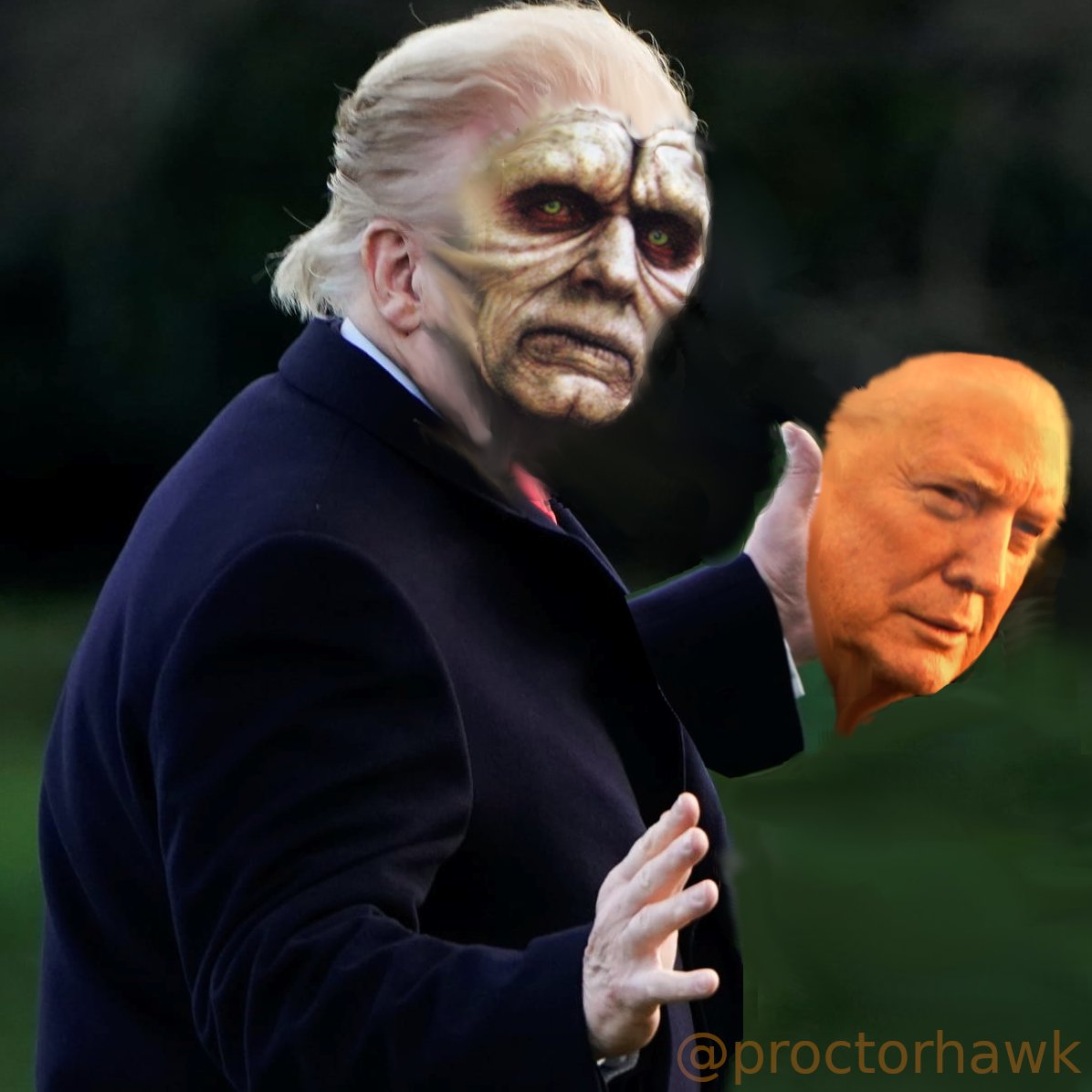 PropterHawk tweet media