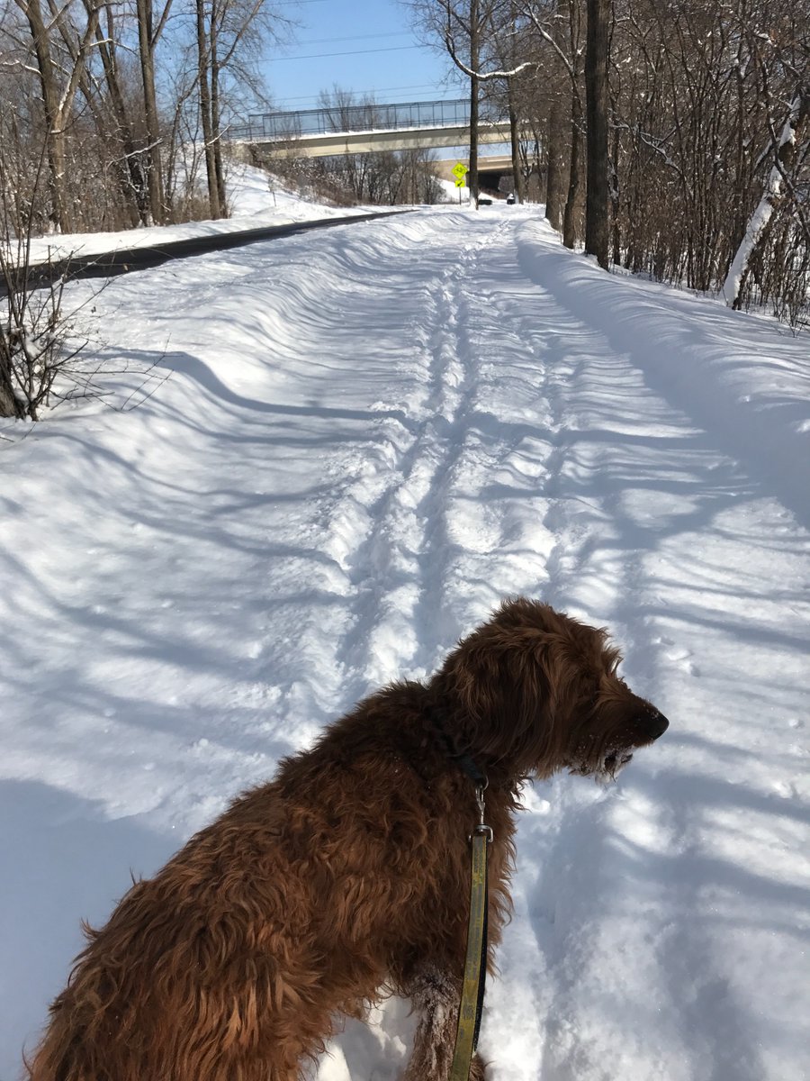 amagpa's tweet image. Master of the staycation.

#bloomwhereyoureplanted
#howtowantwhatyouhave