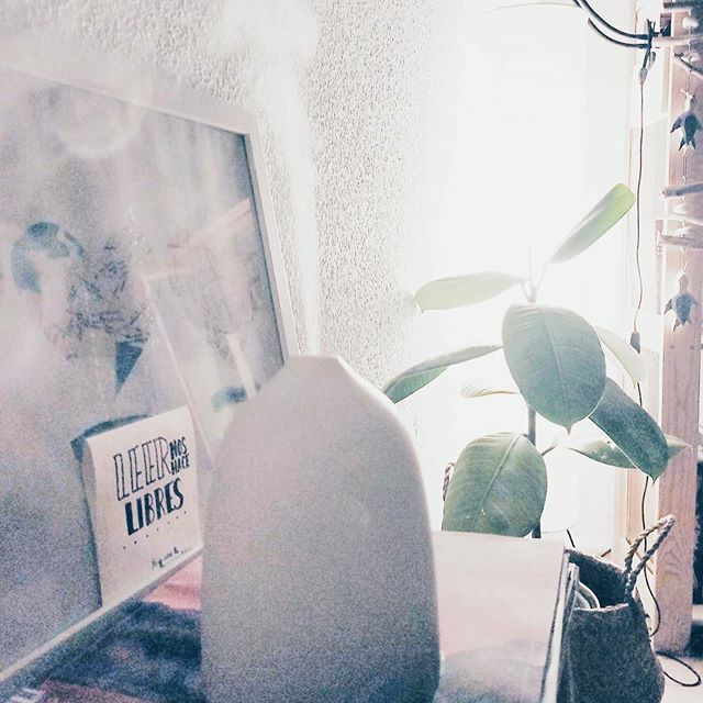 #Febrerosinedulcorantes
9/29
.
R E L A X
.
Un domingo por la tarde.
El sofá y la mantita.
Música de fondo.
El ronroneo de las gatas.
Y en el difusor, aceite esencial de uva para alejar el #estrés 😌
.
.
#Febrerosinedulcorantes20 #relax #aceitesesencia… ift.tt/38jOF64