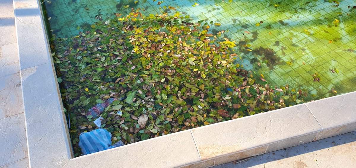 cristianguerra's tweet photo. La administración municipal debe velar por la limpieza de esta piscina que nos dejo el ex alcalde Tuto Uhia. Pedimos a @MelloCastroG tomar cartas en el asunto #APonerOrden @linadearmas @JOHNBOLIVARACOS @CCSILVA86 @ALFREDOSAADEV @CarlosFelipeQ @katerinlisethve @JAIMESILVERA https://t.co/WFQIFQKTcy