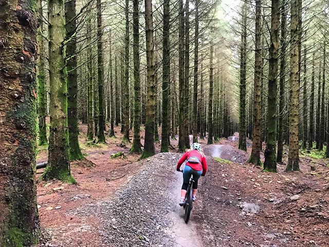 GoFasterGaby's tweet photo. First time riding bike park wales last Monday and first time riding in February (not abroad) in shorts! https://t.co/6iaW2I9zRY https://t.co/tJKp9Kgd8Y