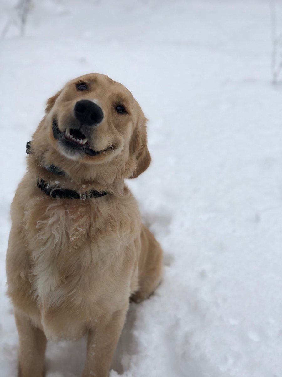 lhaenel02's tweet photo. Let’s make scooby famous! https://t.co/OLHWzmHFzK