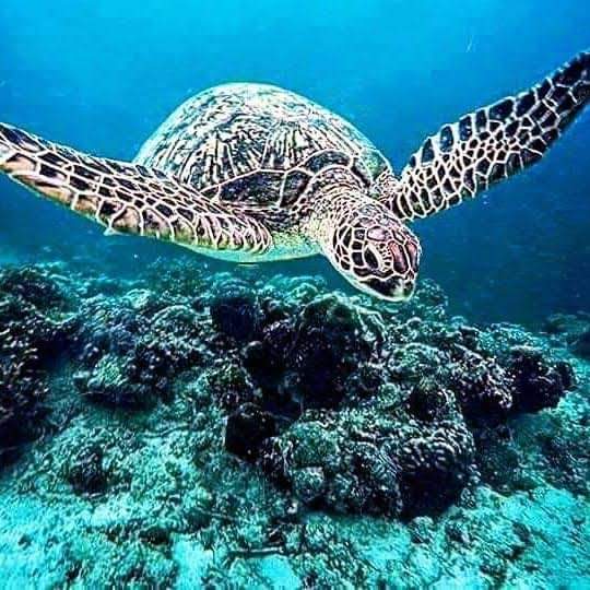 Global Waymaker Travel and Tours (@Globalwaymaker) | Twitter