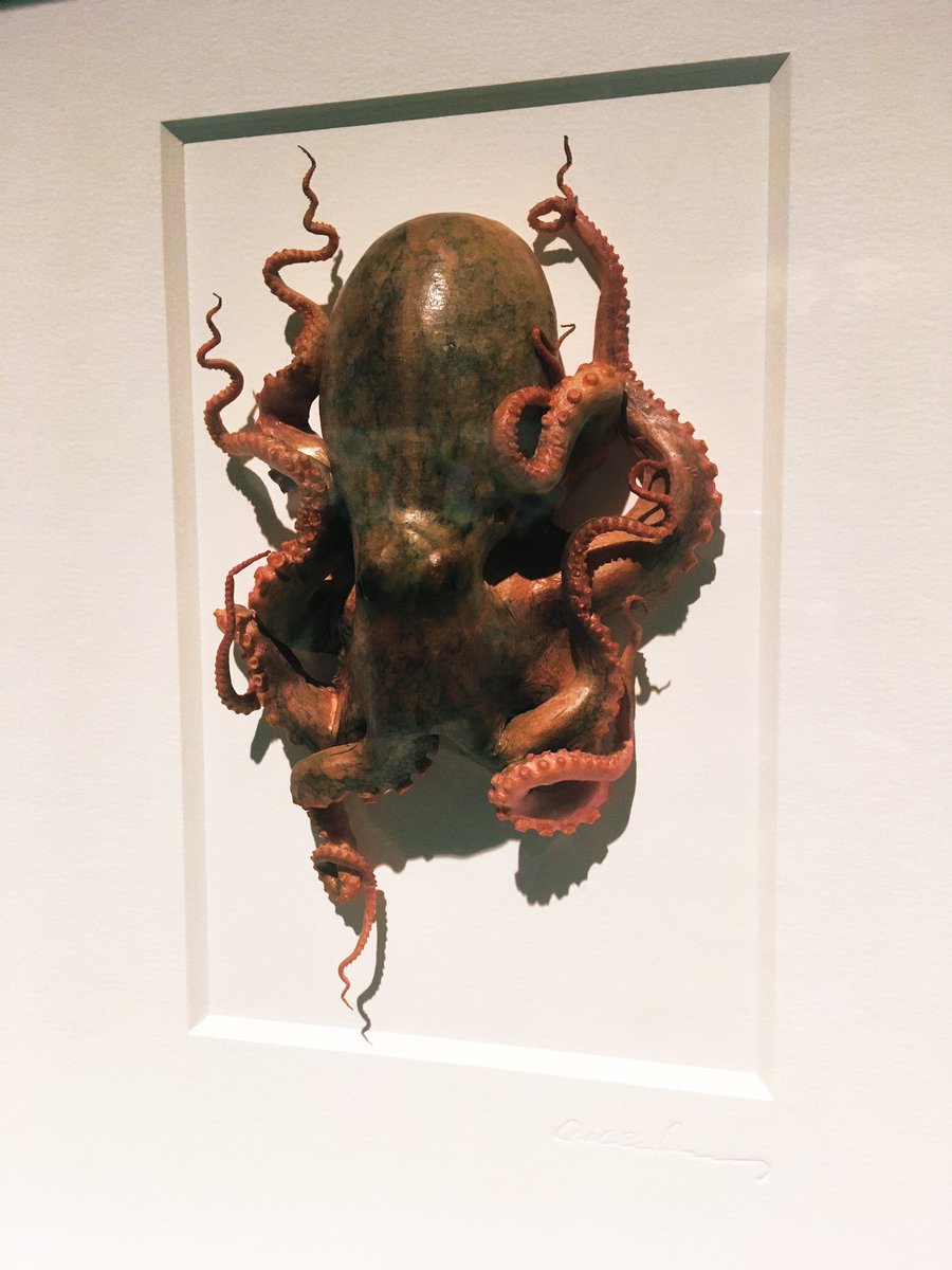 smbrander's tweet photo. The #exquisitecreatures exhibit @OMSI is kind of incredible, ends on 2/17. Thanks for the recommendation @stellar_seas ! https://t.co/fDdsTKZinS