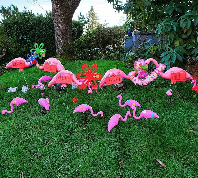 Flamingoparty Hashtag On Twitter - roblox flamingo party