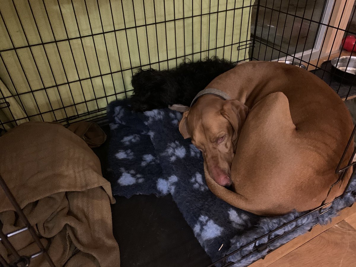 iamsmudge tweet media