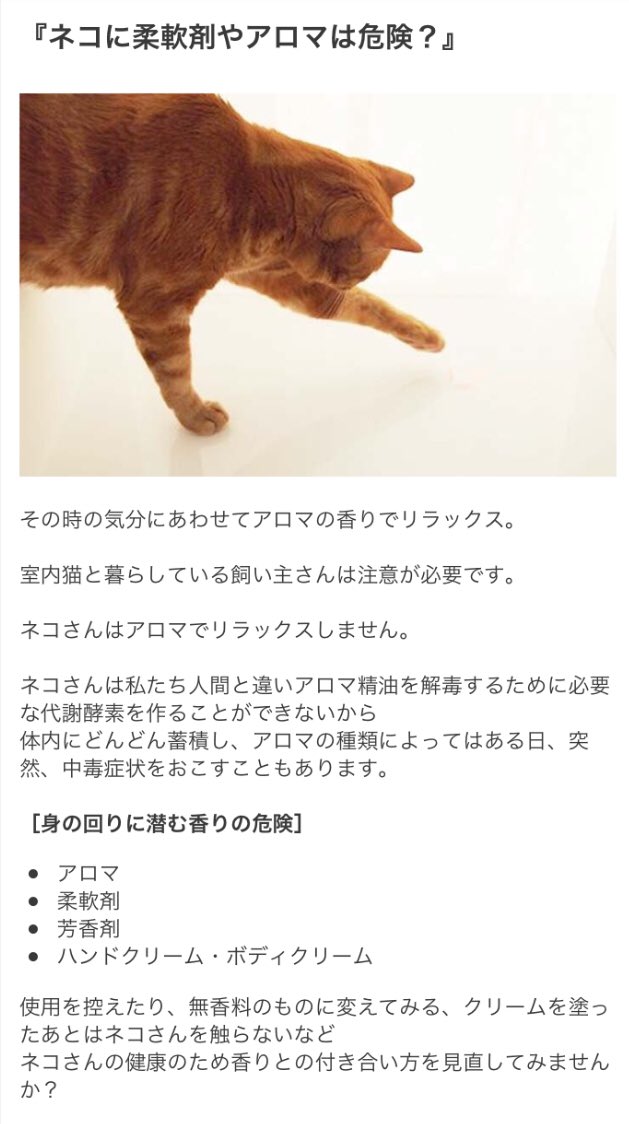 おひさまとねこ Me Cfs Mcs در توییتر 全ての猫愛者へ 猫グッズ専門店から こんな注意喚起メール 最近の香料の使いすぎが原因で 腎臓障害になる猫ちゃんが急増している ファブリーズ 柔軟剤 アロマ 香料全般 獣医師も辞めろと指導 大切にしたいと心から思うなら おひさまとねこ Me Cfs Mcs در توییتر 全ての猫愛者へ 猫グッズ専門店から こんな注意喚起メール 最近の香料の使いすぎが原因で 腎臓障害になる猫ちゃんが急増している ファブリーズ 柔軟剤 アロマ 香料全般 獣医師も辞めろと指導 大切にしたいと心から思うなら