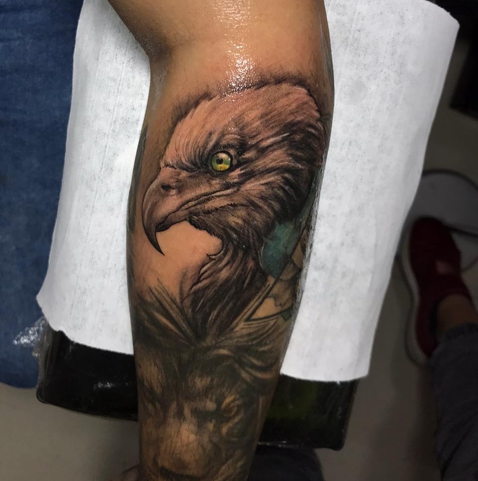 cris_rvr's tweet photo. 🦅 https://t.co/BrruaFe1wu