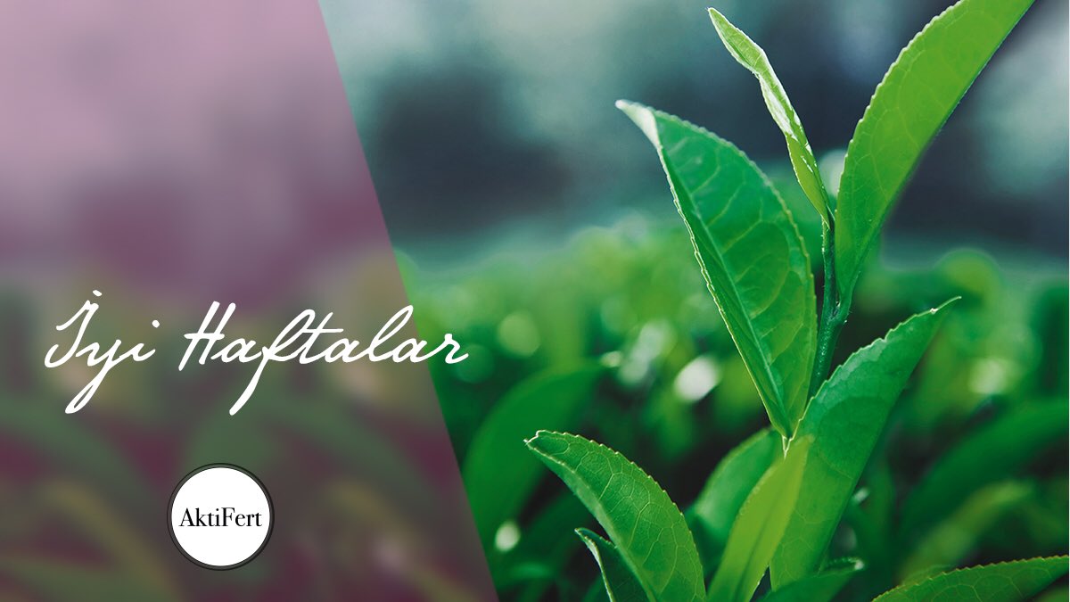 İyi haftalar dileriz 🌱

#MutluGünler #pazartesi #agriculture