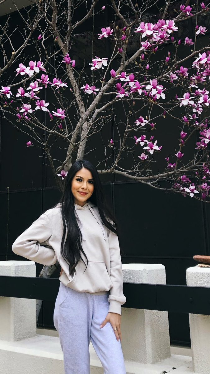 prisszav_'s tweet photo. It was a really pretty tree🥺💕 https://t.co/7xaxwpi1vE