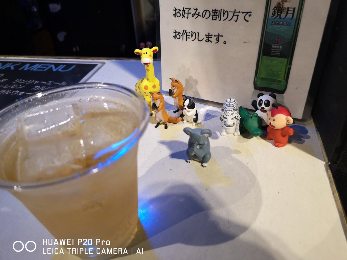 mu_hoku_arashi's tweet photo. 益子くんが 今日はね、魚屋さんなの!でもね これが一番温かいの♪って言っててとんでもなく可愛かったのでパチリ♪2枚目はスマイルのお値段数えてたのかバンド名のSが抜けてるの見てたのか♪内藤くんは 今ぁぁ??のショット(笑)
アニマル達に見られながらのモスコでした
#AugustFool #オフショット https://t.co/BVm91iCX5d