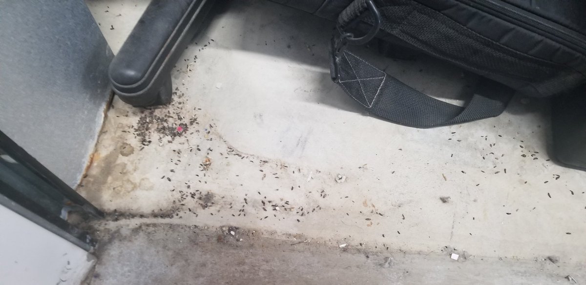 dapassiondiva's tweet photo. There is no way, even after a period of time, should a storage unit look like this. I have no food or perfume but simply my belongings, some from my late husband. Im disgusted and pissed off. My stuff may be ruined. I want answers now. #mousedroppings  @PublicStorage https://t.co/isnCkd7WkW