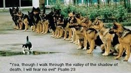 Michelle M. Adams (@inwritergirl) on Twitter photo 