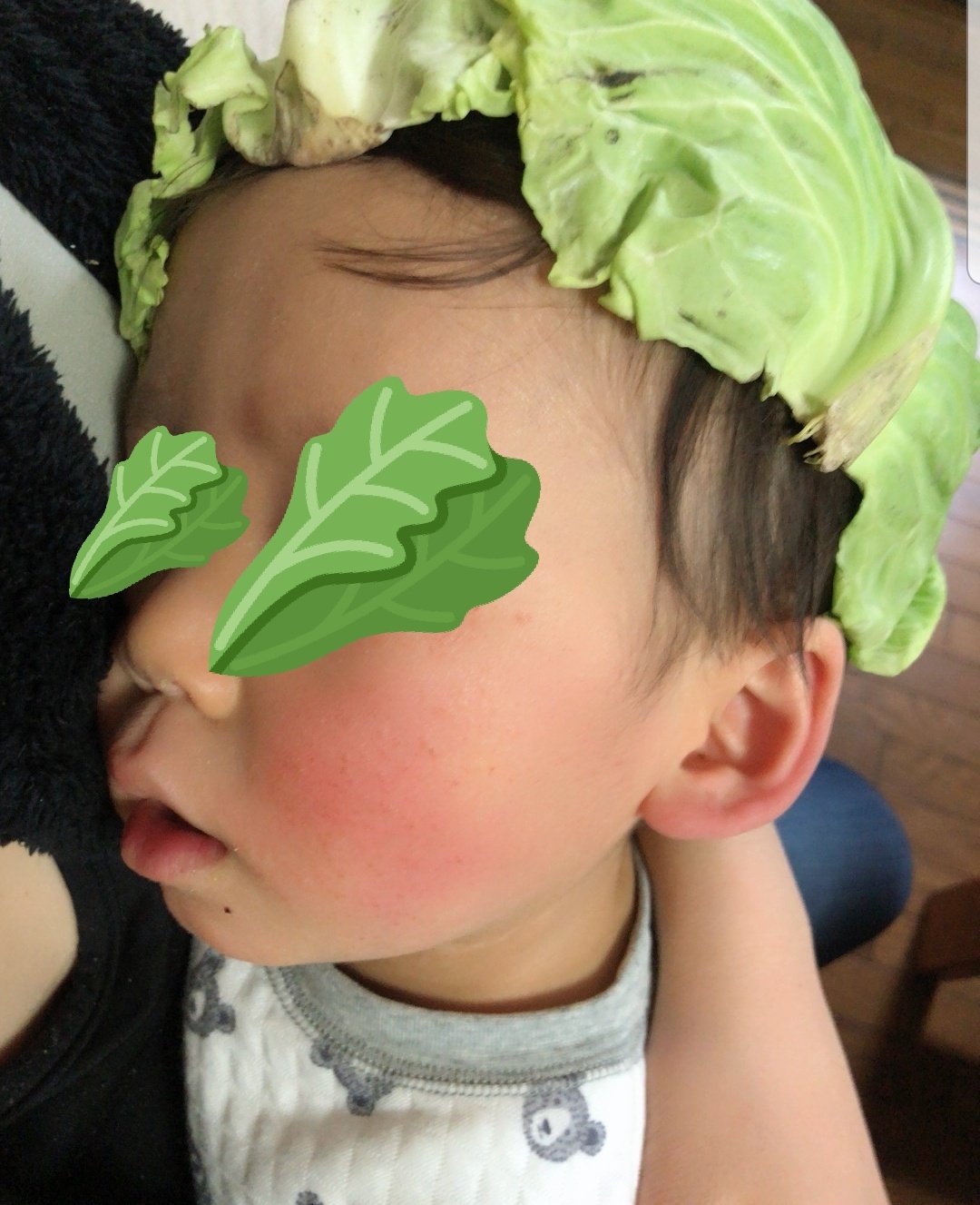 クッキー スッキリ でキャベツ枕の話してたから ネタじゃないの と思ってインスタ調べてみたらそういう親がわんさか キャベツ湿布なるものもあるらしい 子供が38 の高熱出してるなら ちゃんと薬飲ませて冷やしてあげて キャベツって