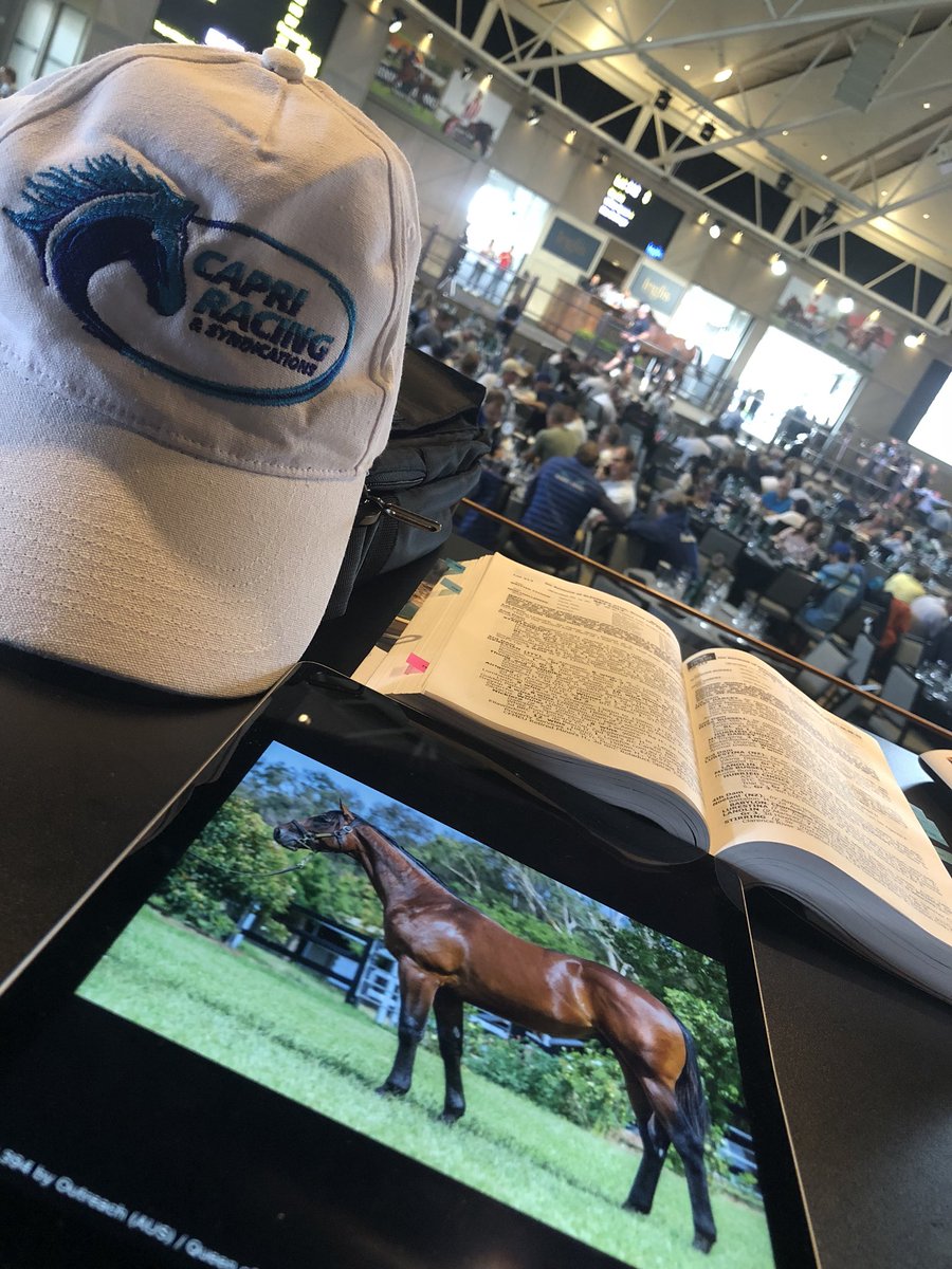capri_racing's tweet photo. Day 2 .. bidding and getting done by bigger pockets.. patience is the secret .. @inglis_sales .. https://t.co/r0qFRKRBG4