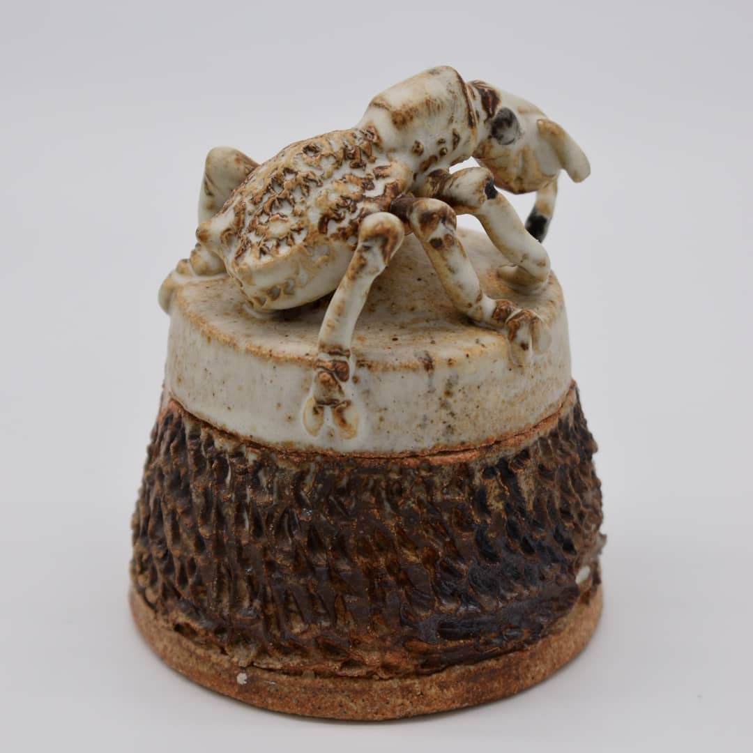 Tamaki_nekocats's tweet photo. "Peanut Weevil" ceramic containers. This weevil found in Japan. I love this weevil because of this cute peanut shapeπ
This piece is one of the pieces chosen to The Clay Studio in Philadelphia The Small Favors 2020.
#ceramic #ceramicart #ceramicsculpture #bug #insectsculpture https://t.co/Bsv96bGgAr