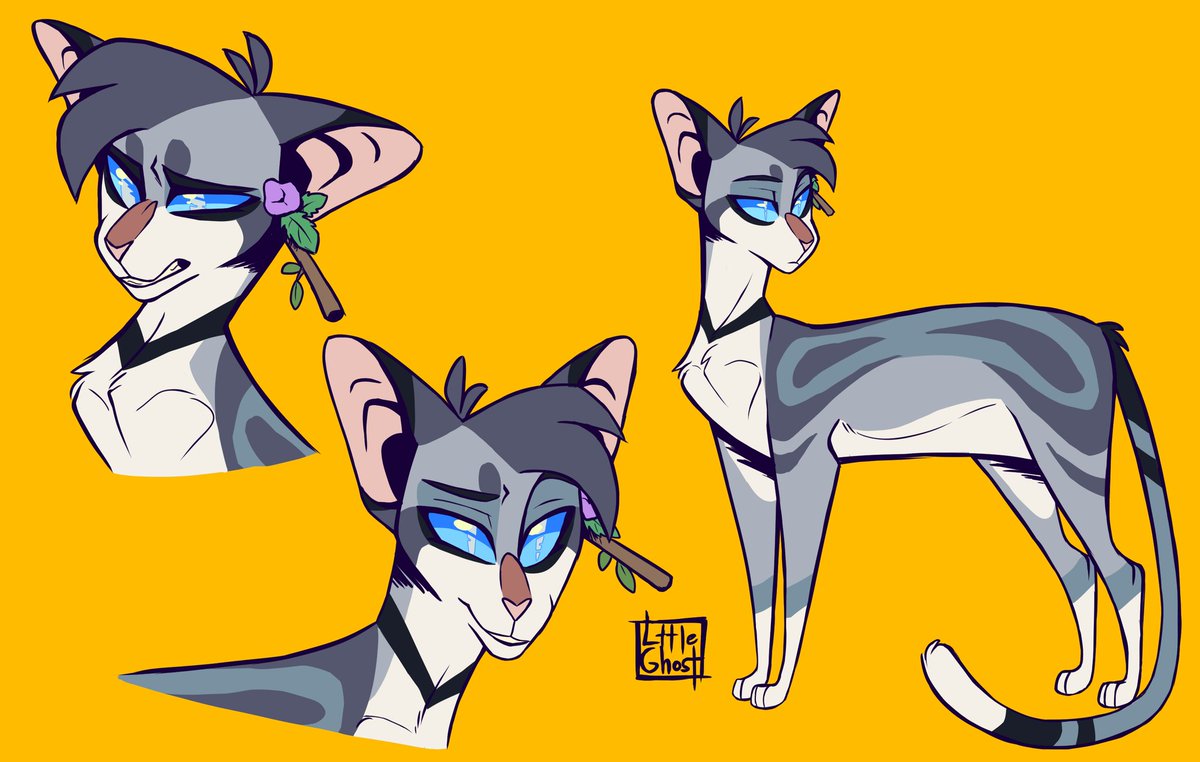 Cats Cats