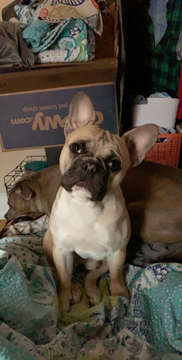 BatboyWalk's tweet image. When mom sings