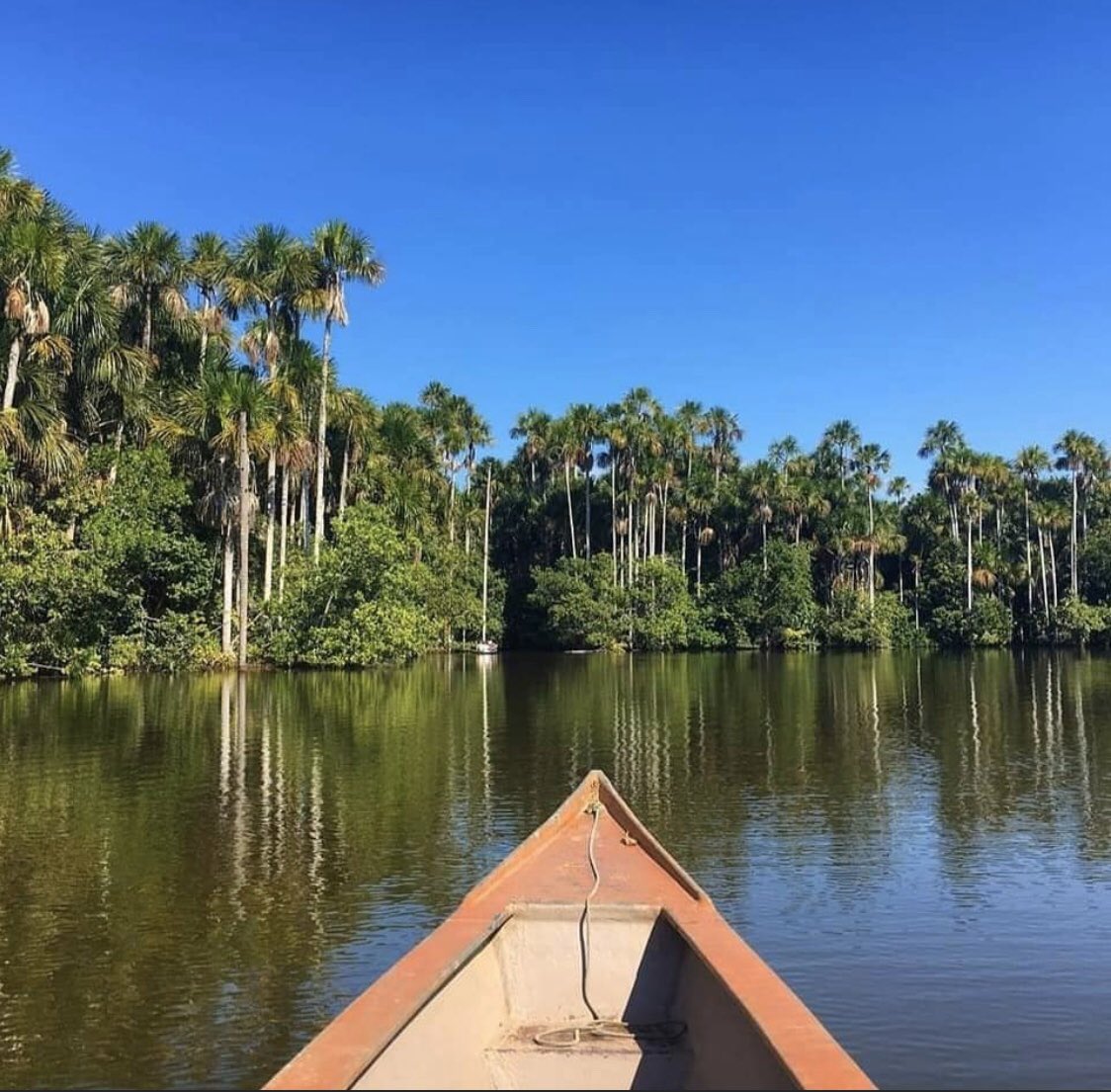 Lago Sandoval