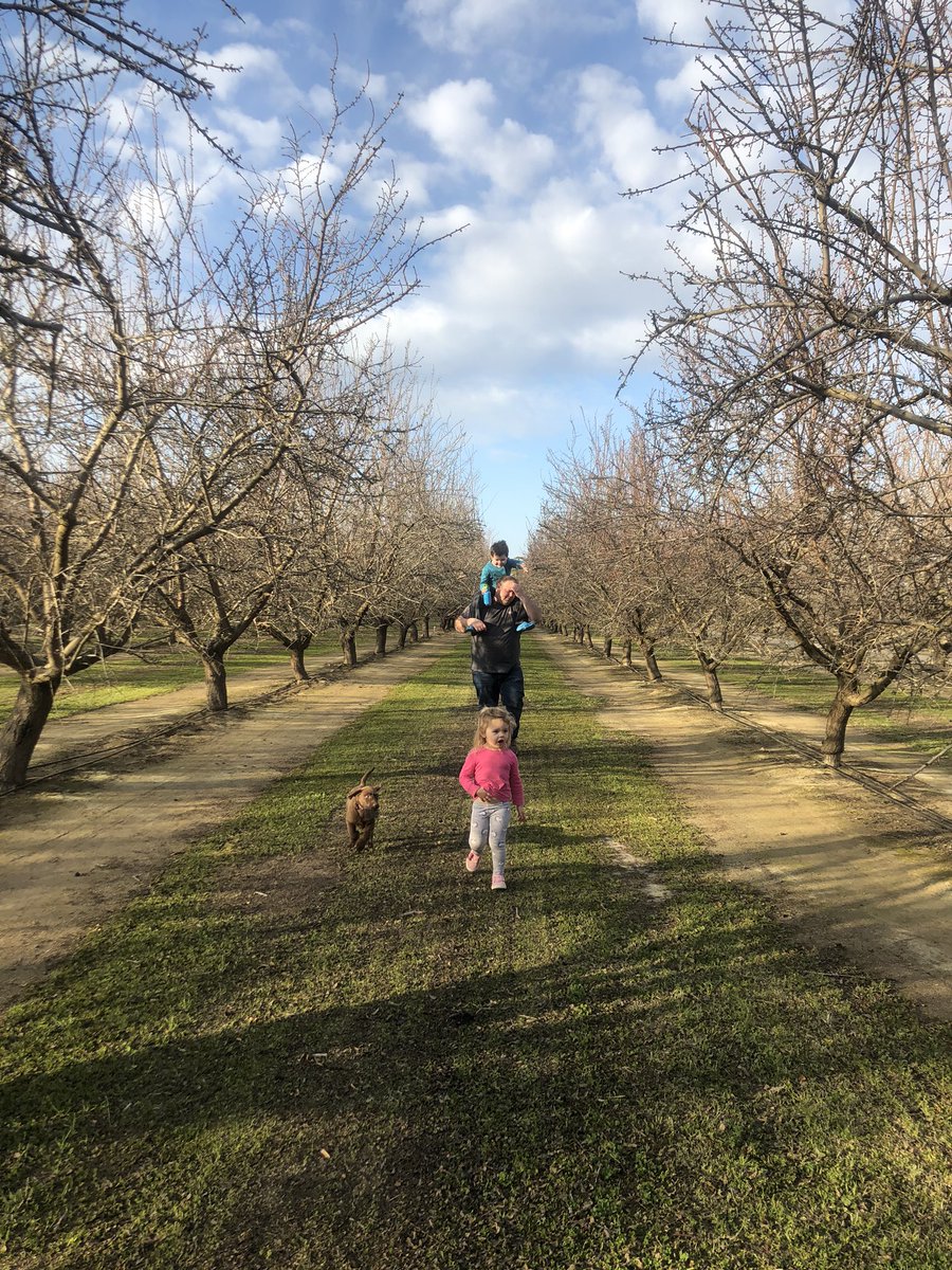 Almond Girl Jenny tweet media