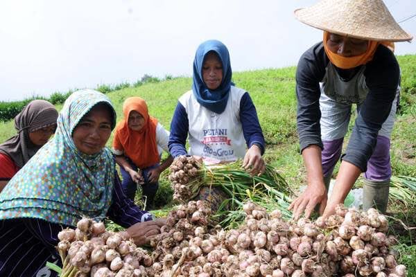 Ubaidullah_Sdq's tweet photo. Falakha; untung. Fallakh; petani, begitu bahasa arab, antara untung dan petani huruf2 nya sama. Maka bangsa tidak akan beruntung jika menyia2kan petani. Ternyata rintihan petani ini telah disyairkan oleh Ahmad al-Shofi penyair Irak. Duh bawang, cabai, kedelai dll https://t.co/TNxxn7NoL8