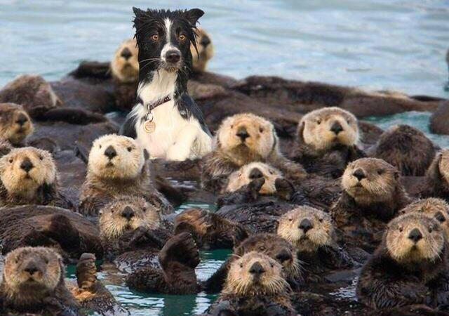 Lacey London tweet media