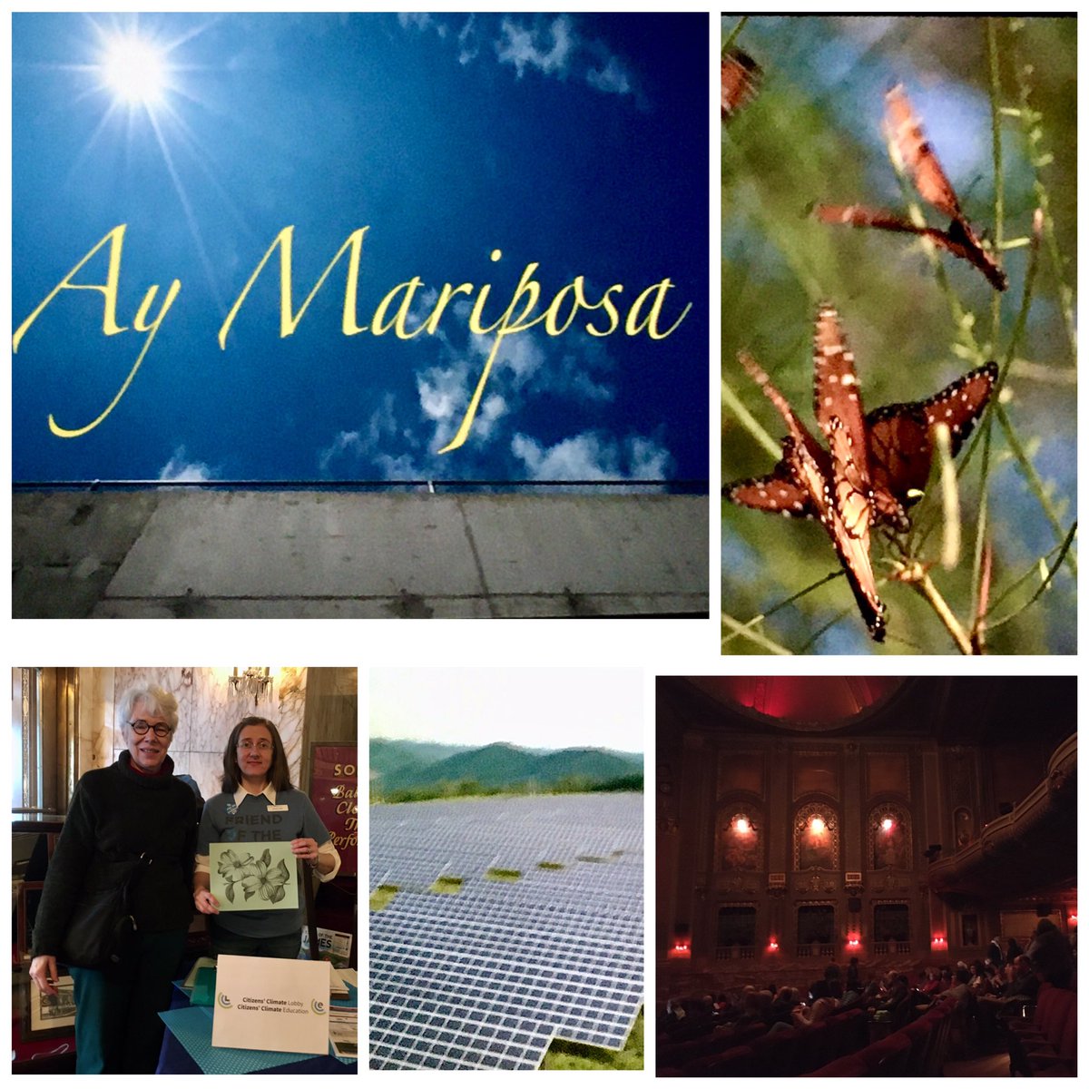 CCLRichmondVA's tweet photo. CCL Richmond Virginia was a sponsor & tabled at the #EnvironmentalFilmFestival. If you missed it this year plan on joining us next year #GrassrootsClimate! #putapriceonit #rva #byrdtheaterrva #cclrva @citizensclimate @MickPea https://t.co/Xa78kGaWxh