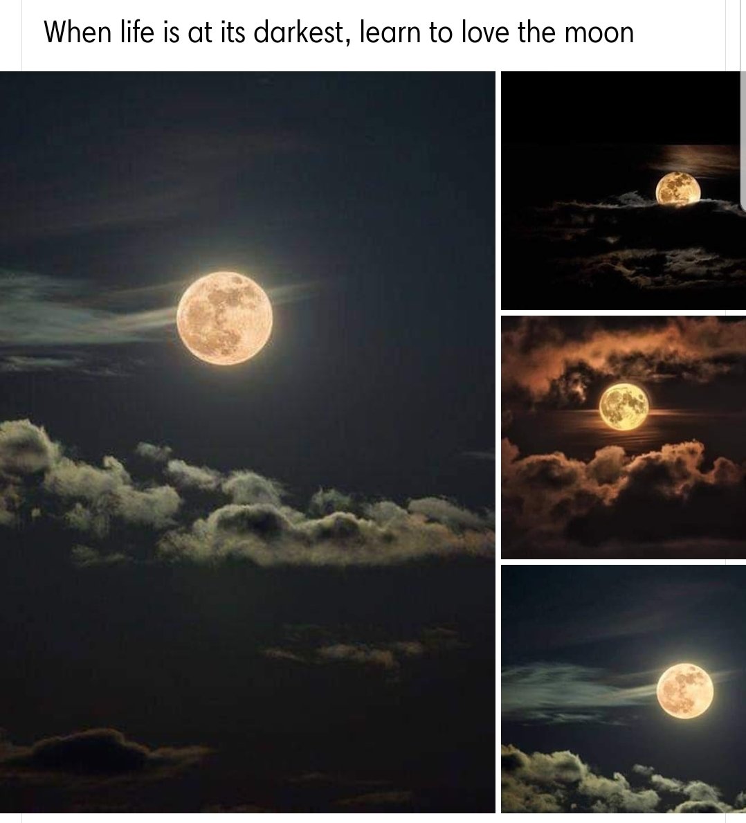 urbookdevourer's tweet image. 