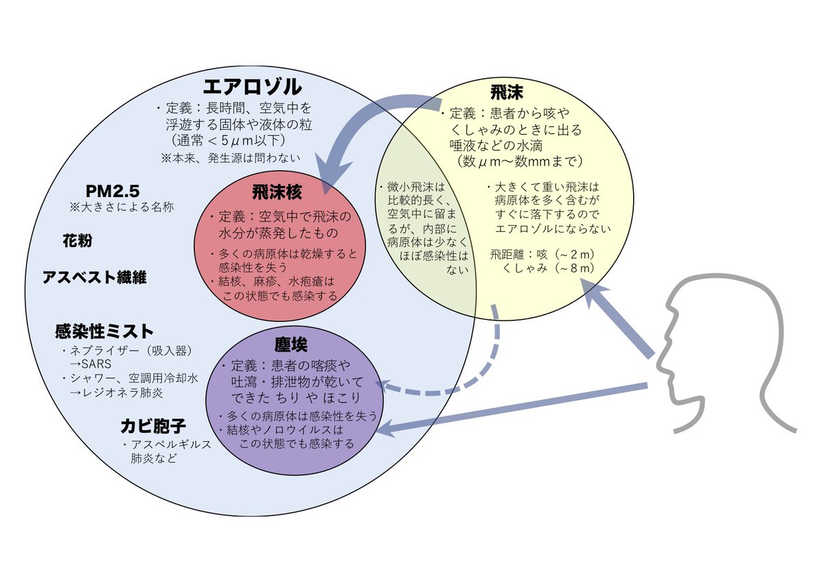 Barba Oso Barbaoso Twitter