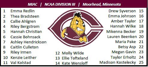 CobberSoftball's tweet image. Ladies and Gentlemen, introducing the 2020 #CobberSoftball Roster! #OneHeart #OneTeam #9Days #OpeningDay