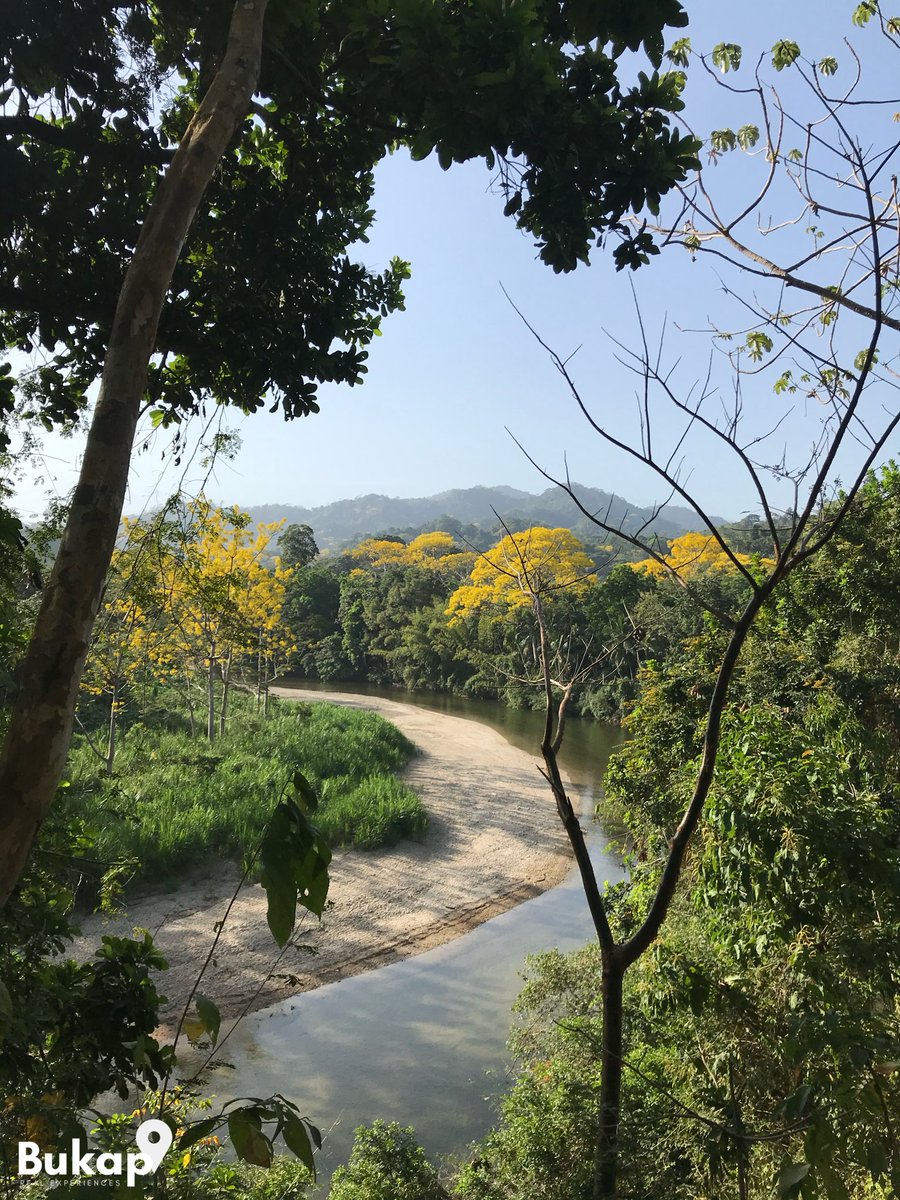 BukapTravels's tweet photo. Enjoy a 15 minutes boat trip upstream this flat and calmed river. Afterward, you will arrive to #Tayronaka, an eco-hotel which was once one of the multiple indigenous settlements that #Tayronas built over the #SierraNevada.
Bookings:
📲: +573007221679
🌐: https://t.co/RFeiBA8CMY https://t.co/CNi2XuNT55
