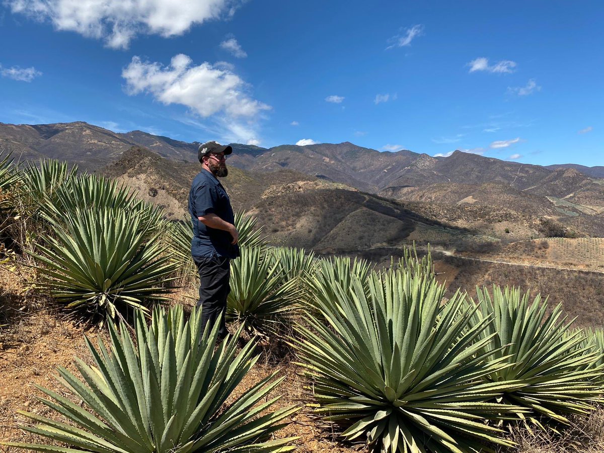 Jon Anders tweet media