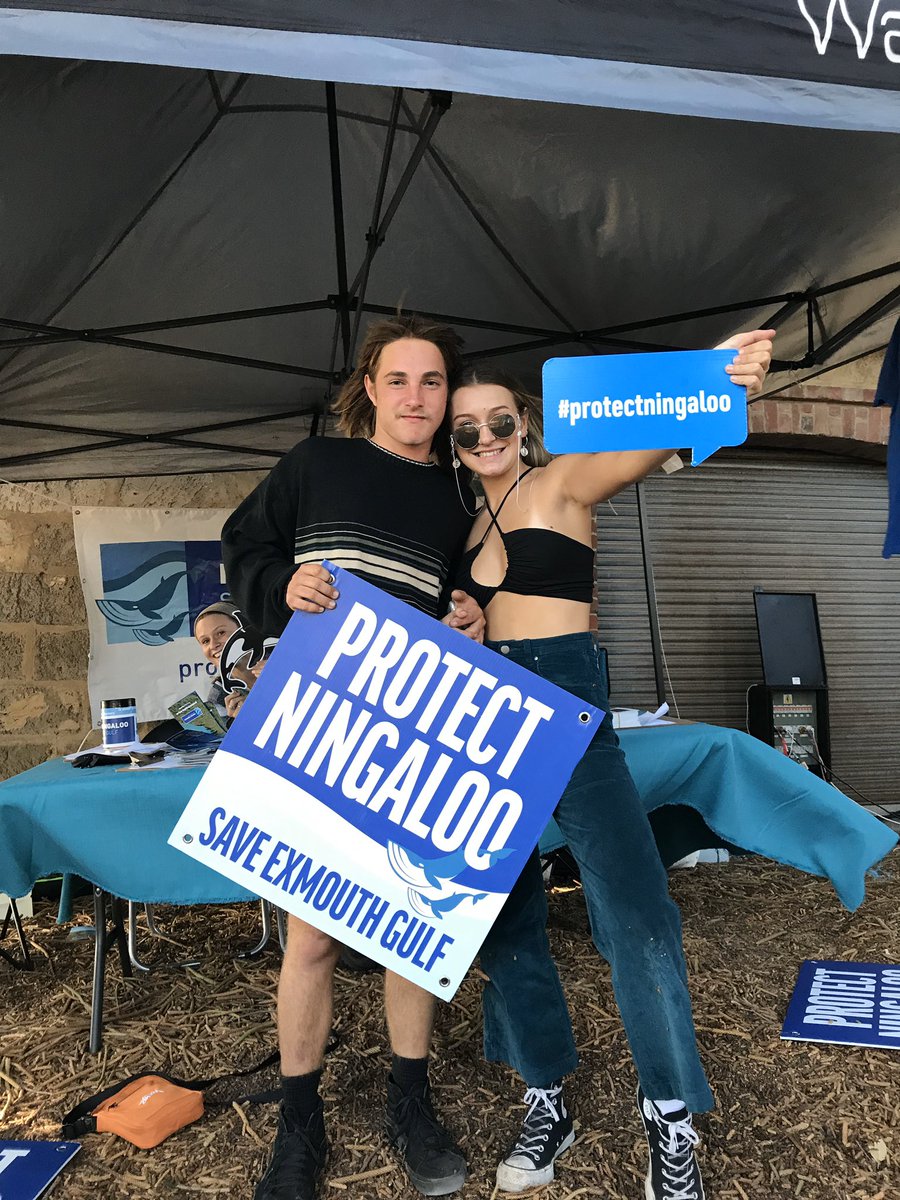 Protect Ningaloo (@protectningaloo) on Twitter photo Thanks to everyone who said hello to us yesterday <a href="/lanewayfest/">Laneway Festival</a> 💙 so many of you signed our letter to the Premier and proudly wore our stickers. This all helps us #protectningaloo Thanks to everyone who said hello to us yesterday <a href="/lanewayfest/">Laneway Festival</a> 💙 so many of you signed our letter to the Premier and proudly wore our stickers. This all helps us #protectningaloo