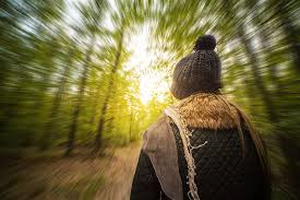 theviotmartial's tweet photo. 10/2 (9h30 ; mairie Saint Laurent-de-Médoc) : A travers une #balade en #forêt, découverte des #lagunes et #discussion sur la pression urbaine et le #changement climatique. Organisé par le #SMBV Centre #Médoc Gargouilh. Gratuit sur réservation : 09.83.69.18.79 https://t.co/7IftUV0Hjs