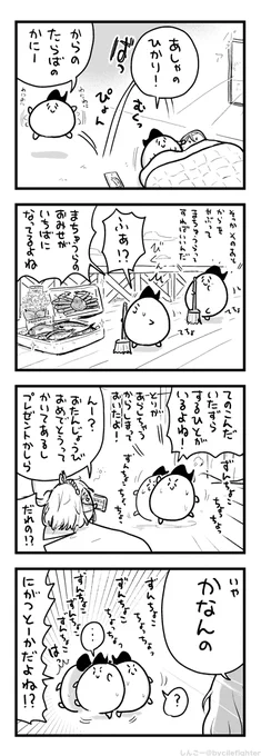 ずわいがにをもらったたらばがに(まちゅうら) 