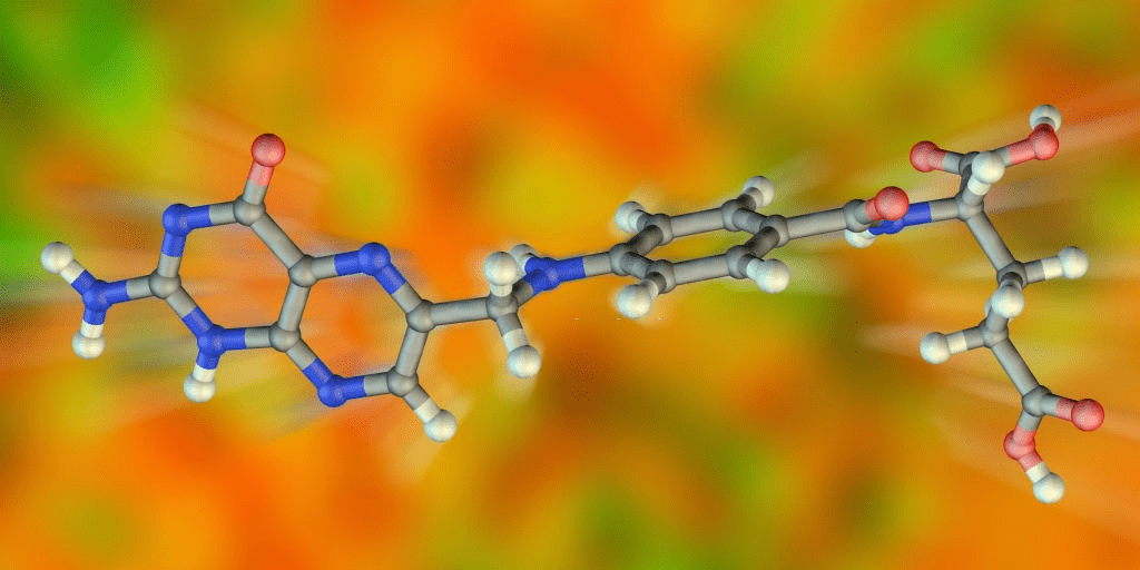 folic acid

 Folic acid importance: If you are thinking about getting pregnant soon, you need to visit your gynecologist or fertility doctor for a general check to see if everything related to your reproductive system is functioning normally.  #acid #foli bit.ly/2uBTkBB