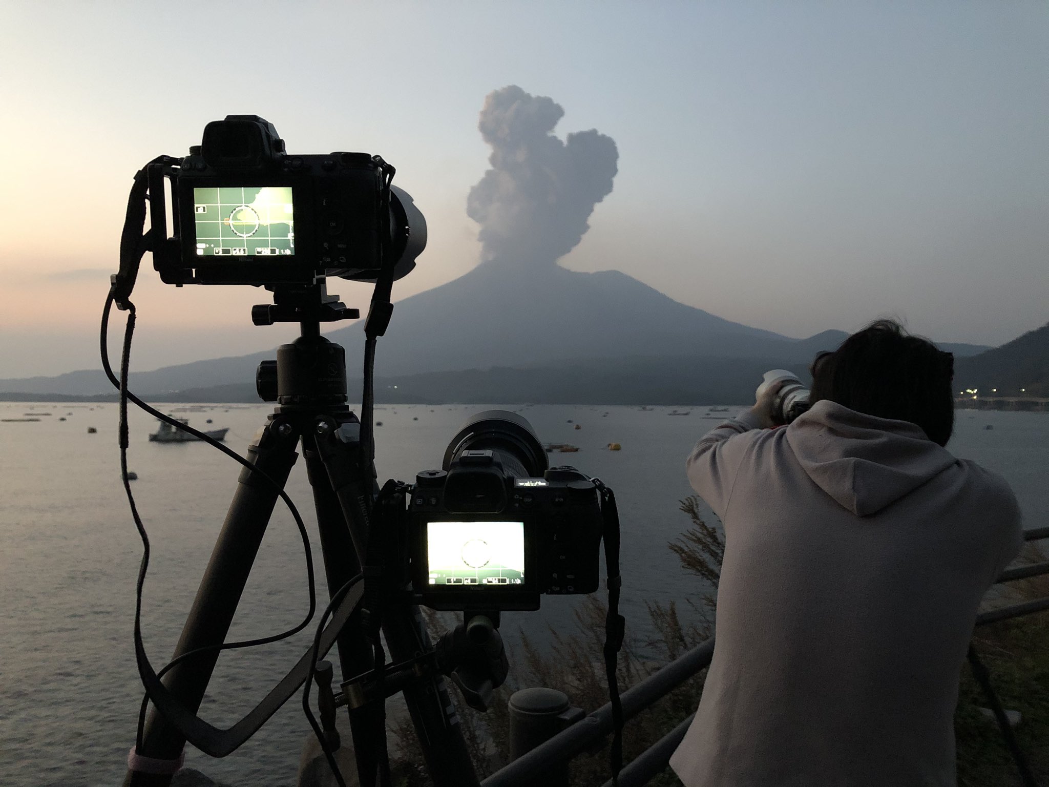 火山雷 Recherche Sur Twitter Twitter
