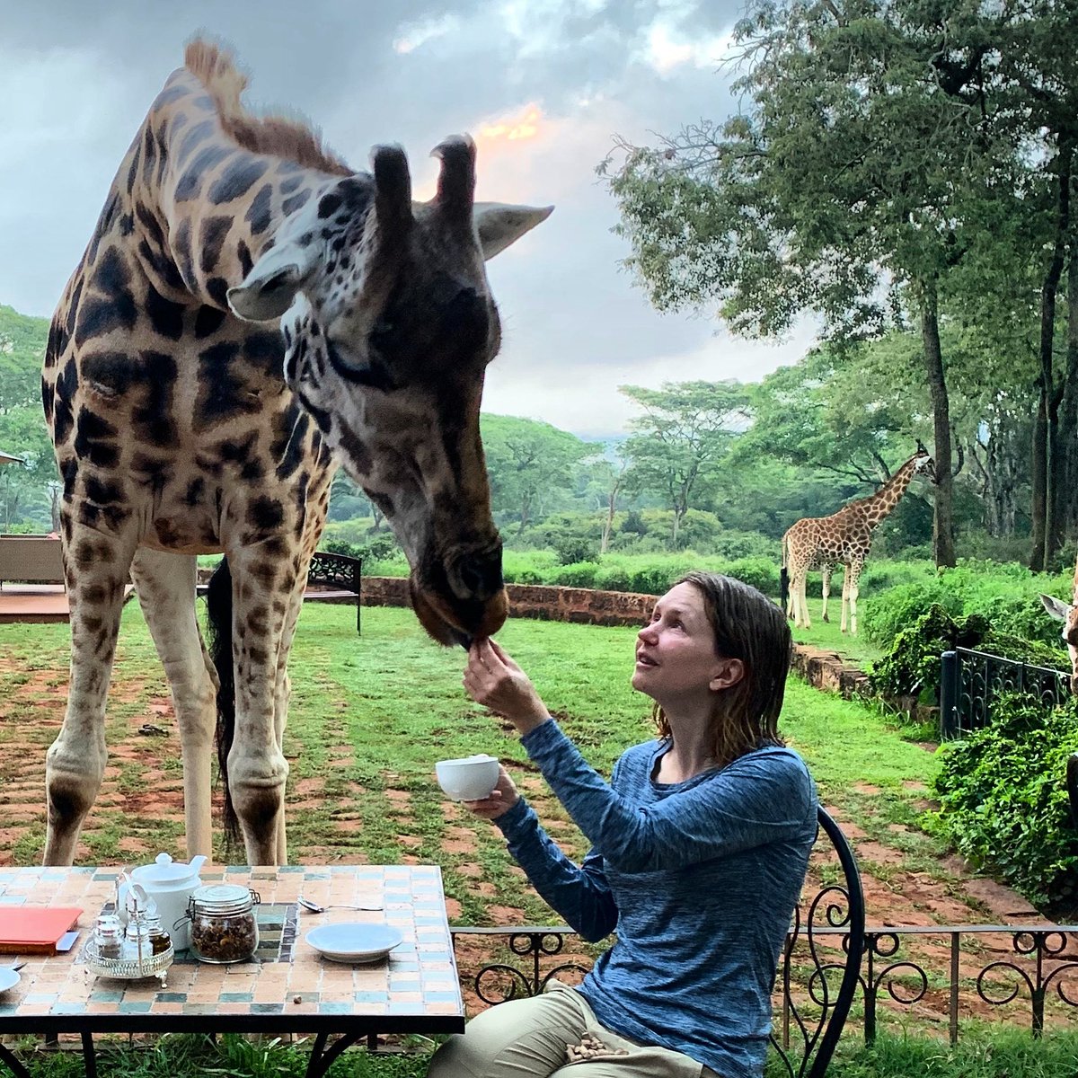 BetterChoiceLaw's tweet photo. #DigitalNomads #Kenya #Giraffemanor Breakfast with the boys. https://t.co/PqgsQQnuY6