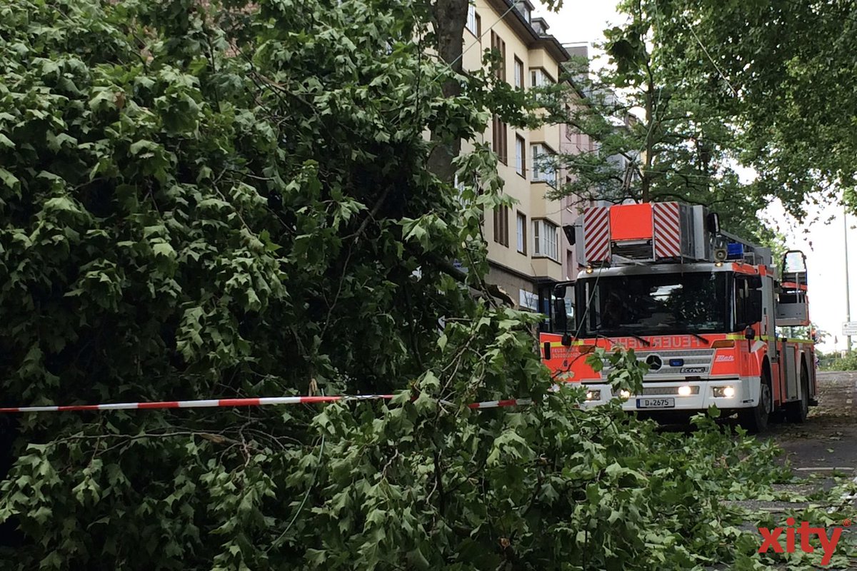 Die Feuerwehr Düsseldorf zieht eine erste Bilanz zu Orkantief "Sabine". Bisher sind zum Glück keine Menschen durch den Sturm zu Schaden gekommen. Trotzdem sollte man draussen vorsichtig sein. --> bit.ly/2SdrXqx