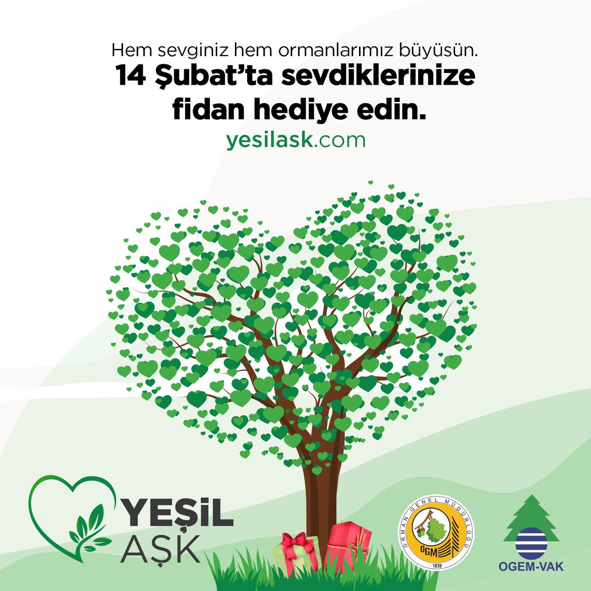 YesilAskFidan's tweet photo. Hem sevginiz hem ormanlarımız büyüsün diye bu 14 Şubat’ta sevdiklerinize fidan hediye edin.🌱 

Detaylar https://t.co/oW6xjSOmBl’da! https://t.co/NFnu9KT1G6