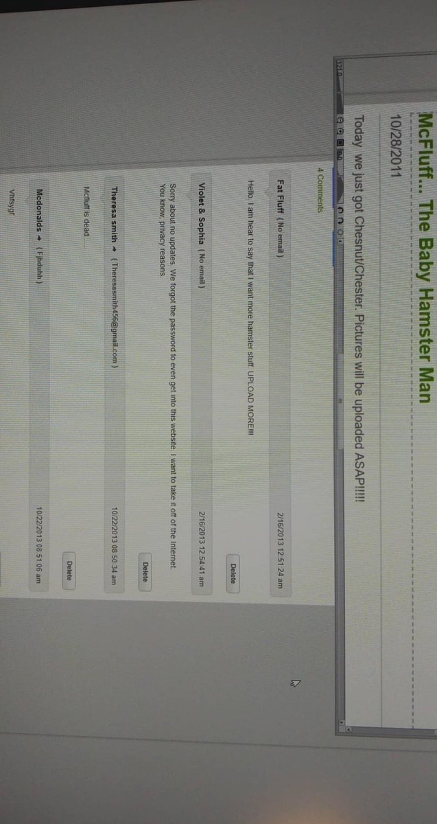 _guavie's tweet image. I'm begging everyone to read the comments on mcfluff.weebly.com (a site me and @_Theresasmith_ made for our hamster back in 2011