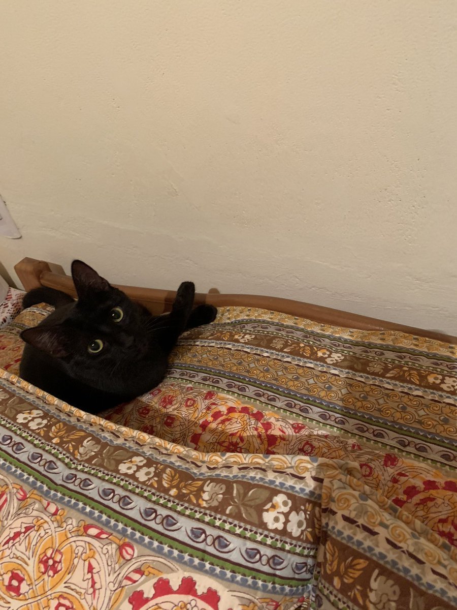 Ola a todos <a href="/gatitos_qctd/">✨ Gatitos que curan tu depresión ✨</a>