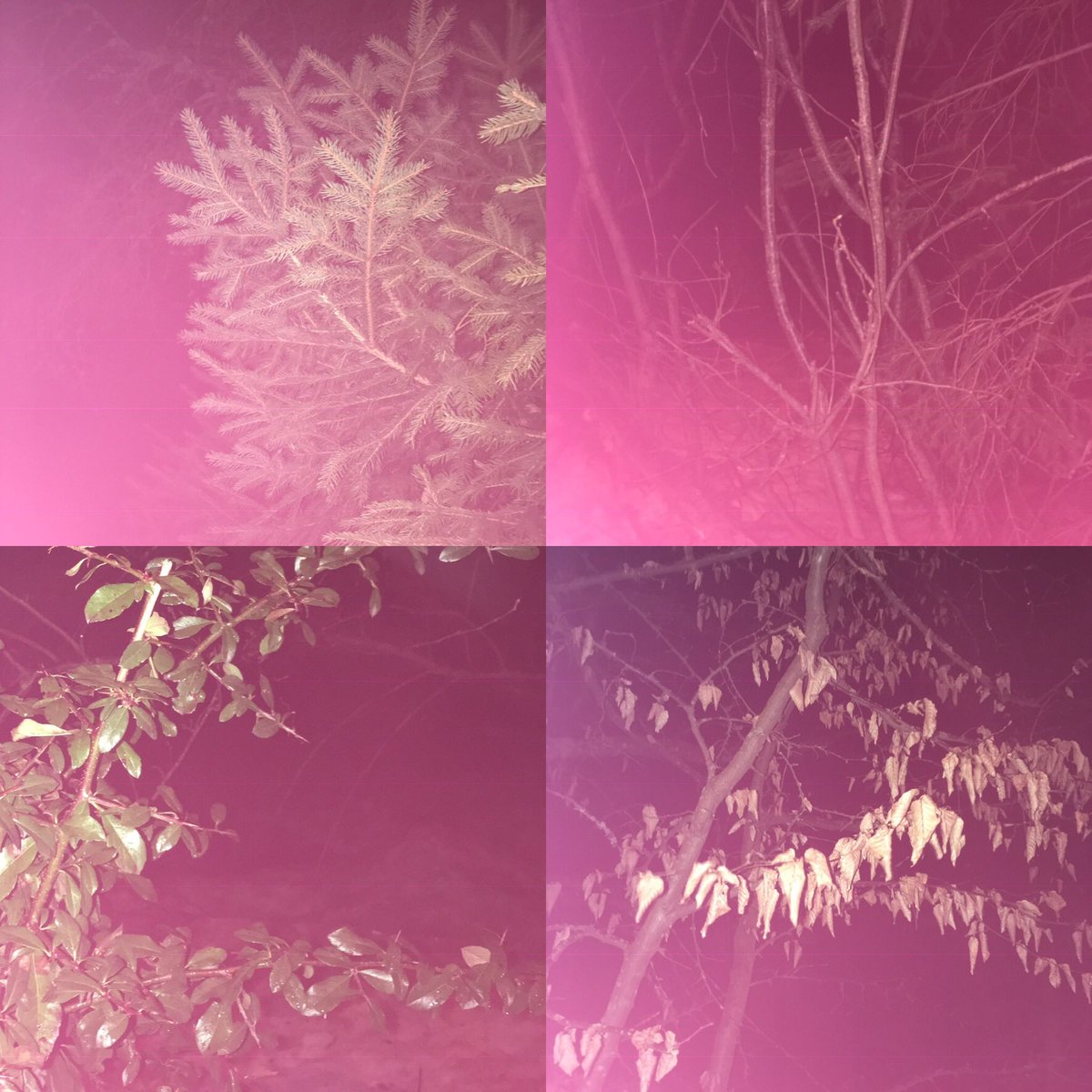 Docphot_Denise's tweet photo. It’s 06.36 and I have been awake (and up and about) for 2.5 hours already. #notinmpressed #insomnia #ineedacuddle https://t.co/mcdkwtJNlT
