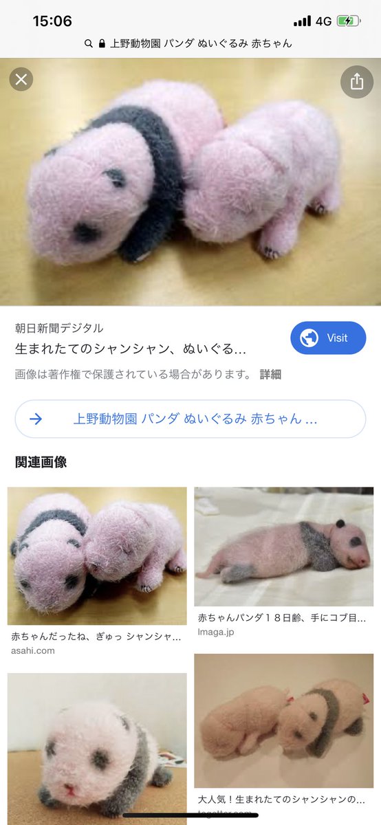 美山 彩季 Aki 普段ぬいぐるみ欲はあまり無い人なのだけど これ欲しい 笑 これ持ち歩いてる子がいて 絶妙な触り心地と絶妙な重さで母性が誕生しかけた シャンシャンの赤ちゃんの頃の重さで作ってるらしい 動物園いきた