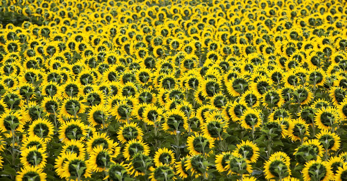 Kendine kapalı bir oda gibiyim,
Adım gibi emin olamadım kendimden.

Tuba Kaplan