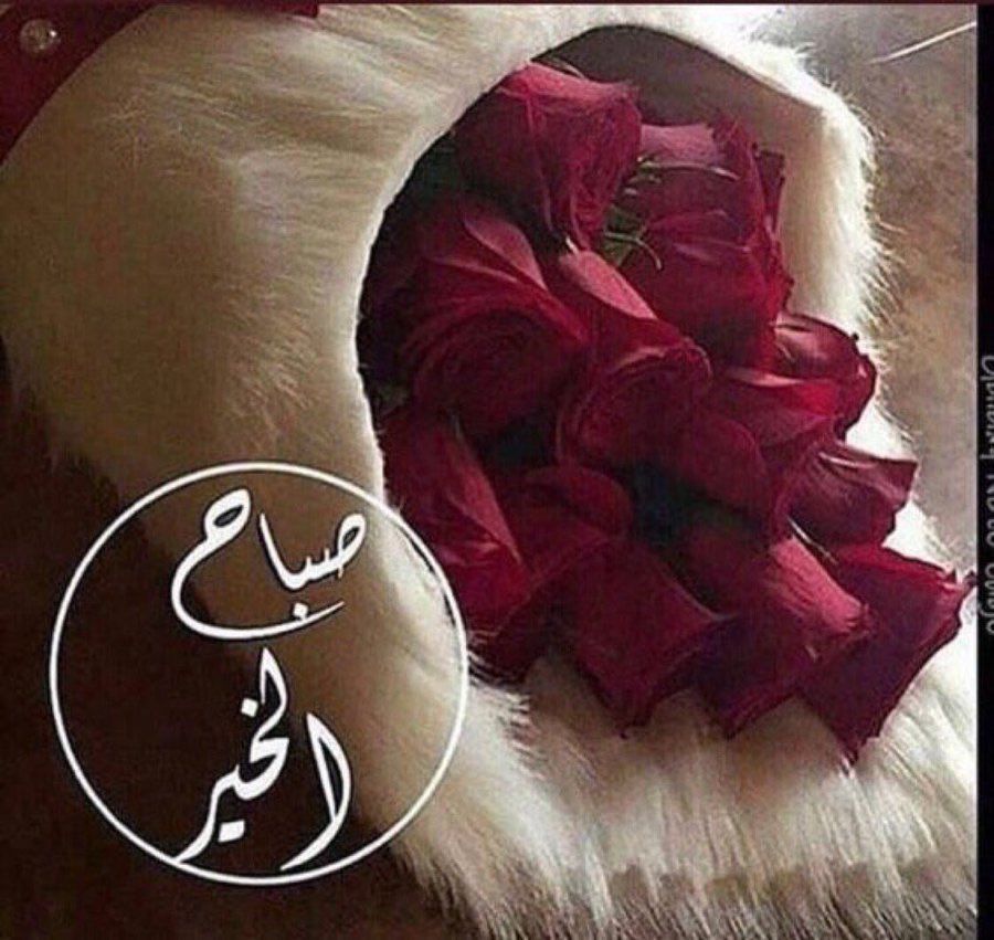 h06hH's tweet photo. #صباح_الخير
صبَاح الخير لباقي الأشيَاء الجمِيلة داخلنا، لنصِف الأمل والبراءة والسّلام للأشيَاء الباقيّة فينا رُغم عُنف الحيَاة ....🌷 https://t.co/UyoOPDGGtY